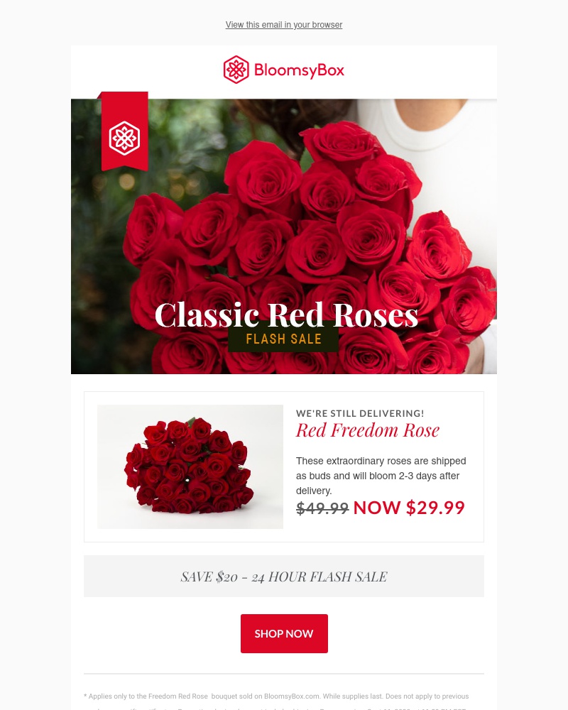 Screenshot of email with subject /media/emails/24-hour-sale-always-red-roses-0b28dd-cropped-93dc0843.jpg