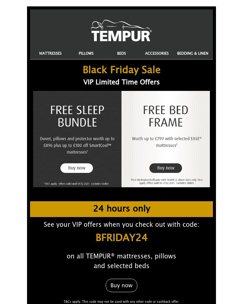 Screenshot of email with subject /media/emails/24-hours-of-black-friday-vip-savings-8584be-cropped-04499871.jpg