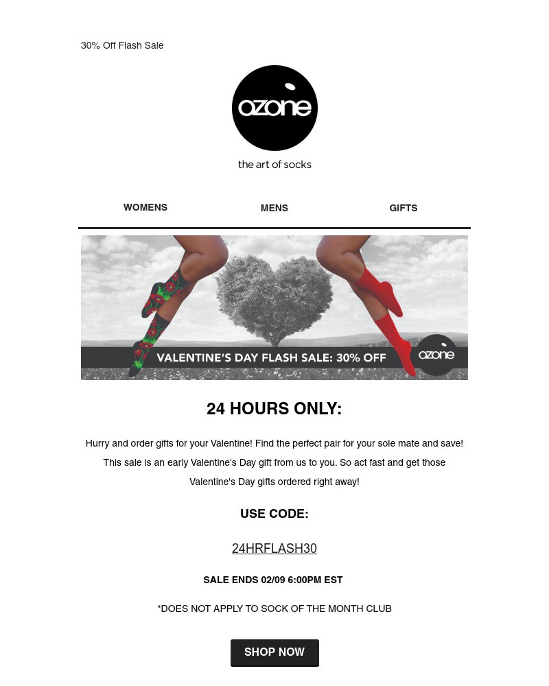 Screenshot of email with subject /media/emails/24-hours-only-30-off-flash-sale-bc44af-cropped-0e76ad32.jpg