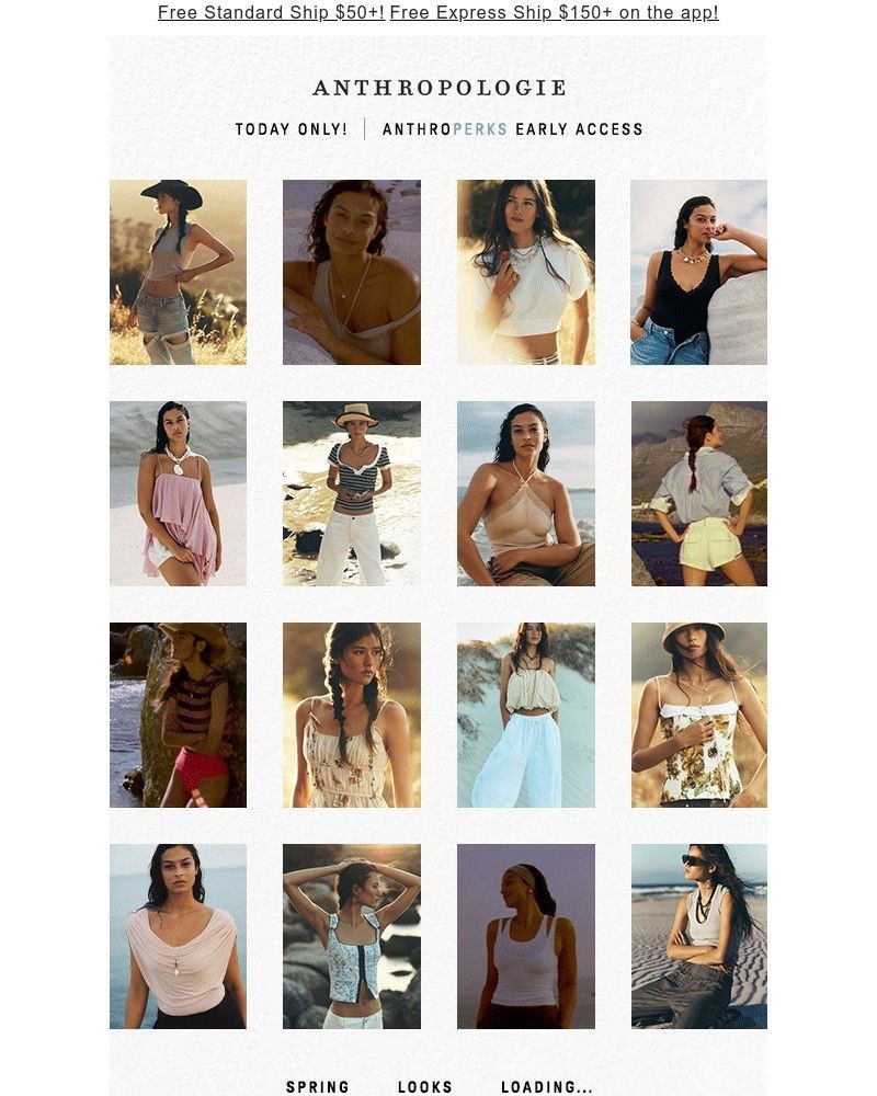 Screenshot of email with subject /media/emails/24-hr-exclusive-the-top-edit-73a27c-cropped-1c4c6225.jpg