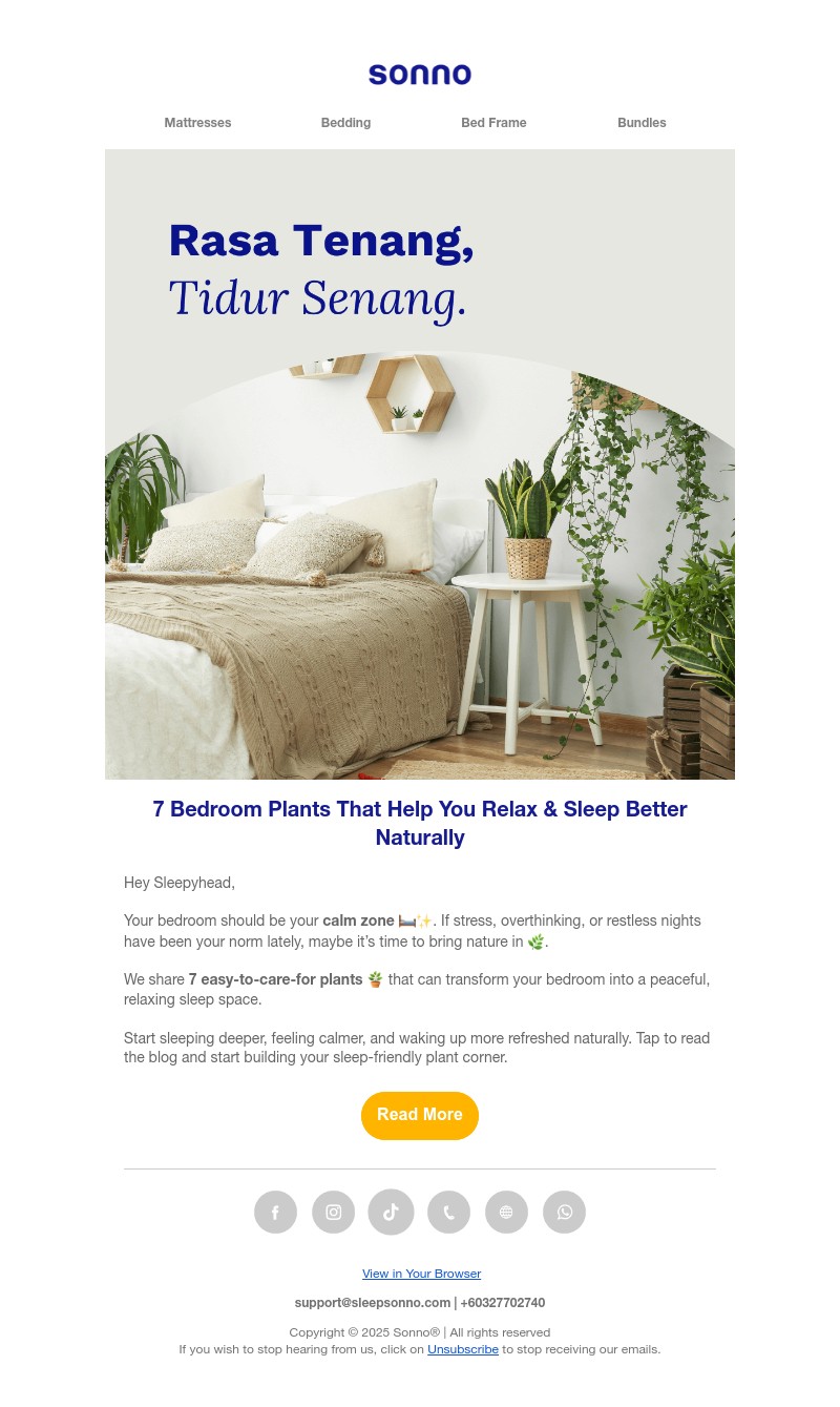 Screenshot of email with subject /media/emails/24915033-2ac4-43a8-a690-ab76d64d3402.jpg