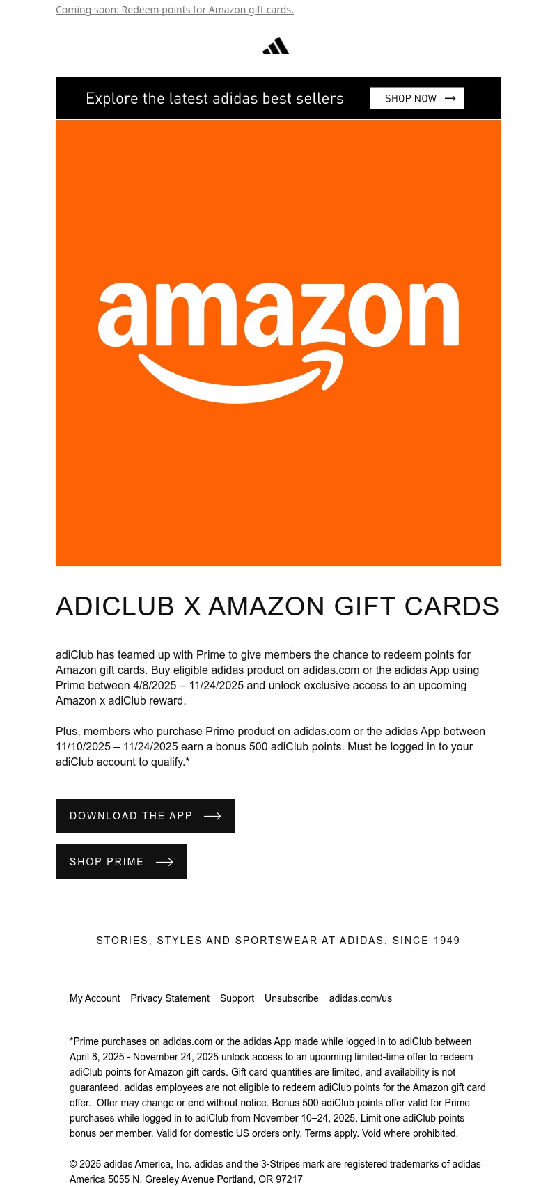 Screenshot of email with subject /media/emails/2498c829-0863-4596-a489-819e024f3080.jpg