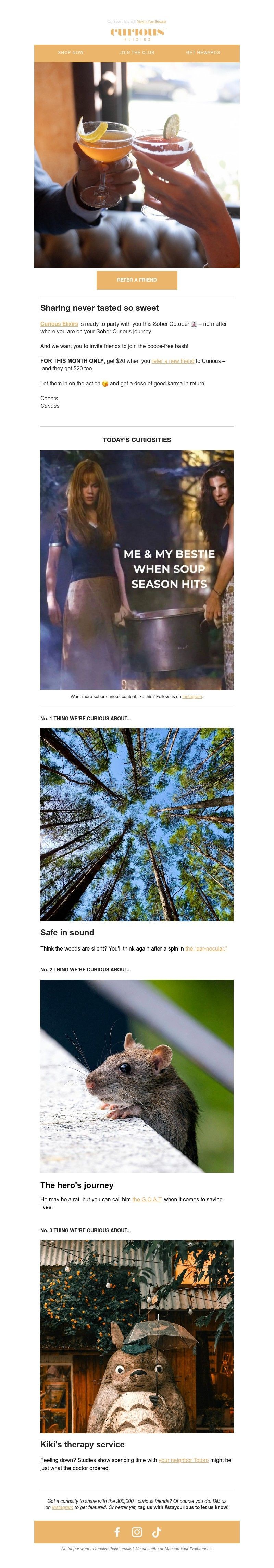 Screenshot of email with subject /media/emails/24c46f1b-5f13-4982-92f2-df2f92f8701f.jpg