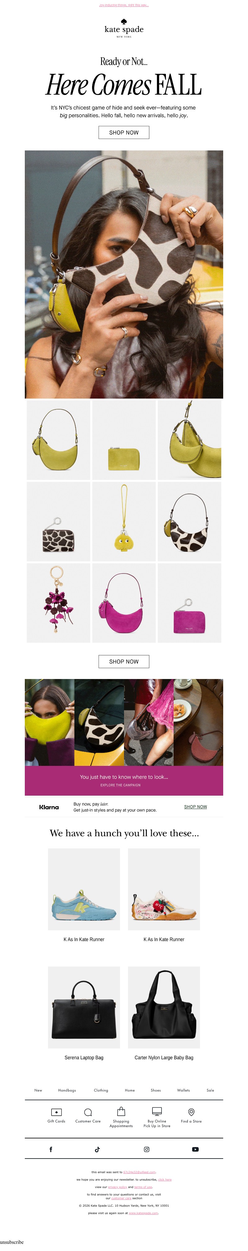 Screenshot of email with subject /media/emails/24ff3495-7d8e-4898-a60e-736f952772ae.jpg