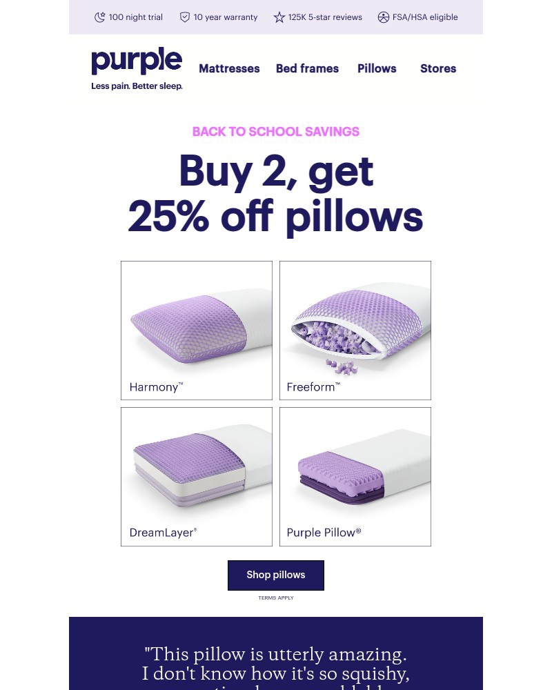 Screenshot of email with subject /media/emails/25-off-2-fan-favorite-pillows-326f2b-cropped-139ffa6f.jpg