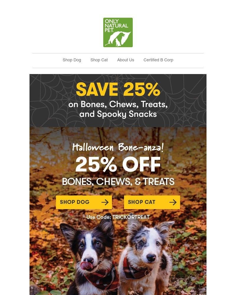 Screenshot of email with subject /media/emails/25-off-bones-treats-to-howl-about-566a6d-cropped-074d09ee.jpg