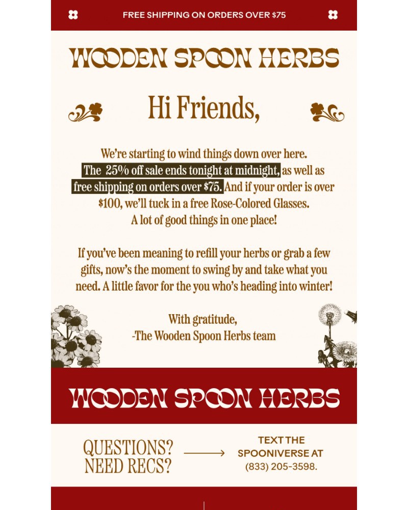 Screenshot of email with subject /media/emails/25-off-ends-at-midnight-1de00c-cropped-c8c59572.jpg