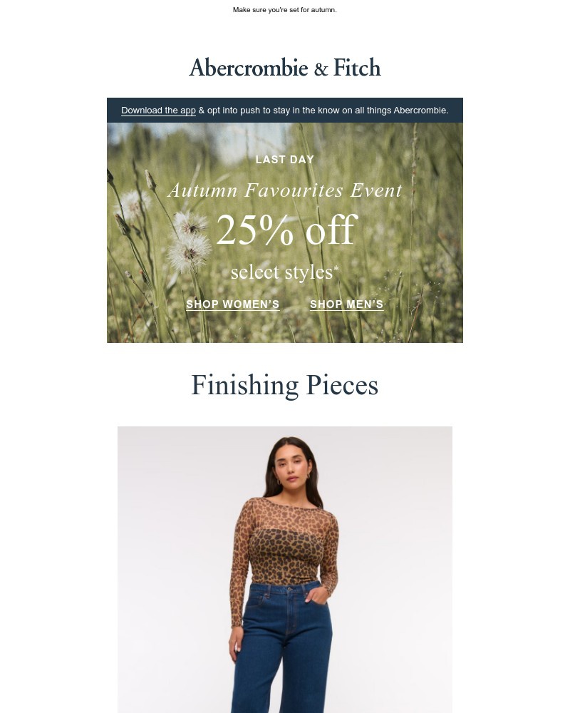 Screenshot of email with subject /media/emails/25-off-ends-tonight-51f855-cropped-93fa8363.jpg