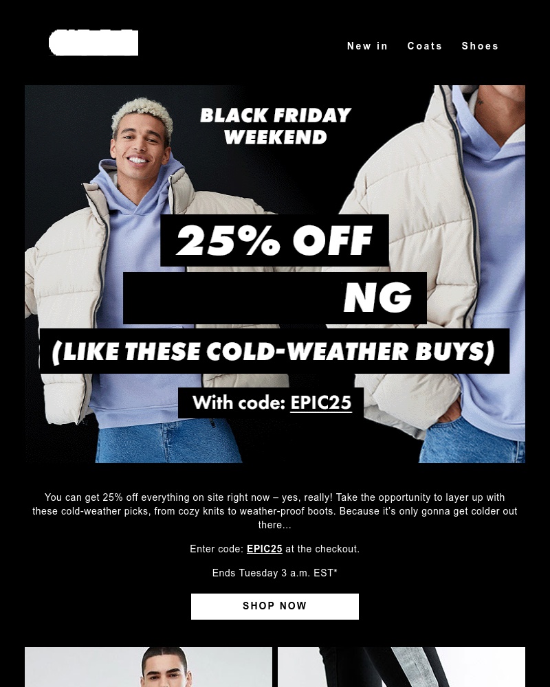 Screenshot of email with subject /media/emails/25-off-everything-black-friday-weekend-win-1-cropped-0243f1c6.jpg