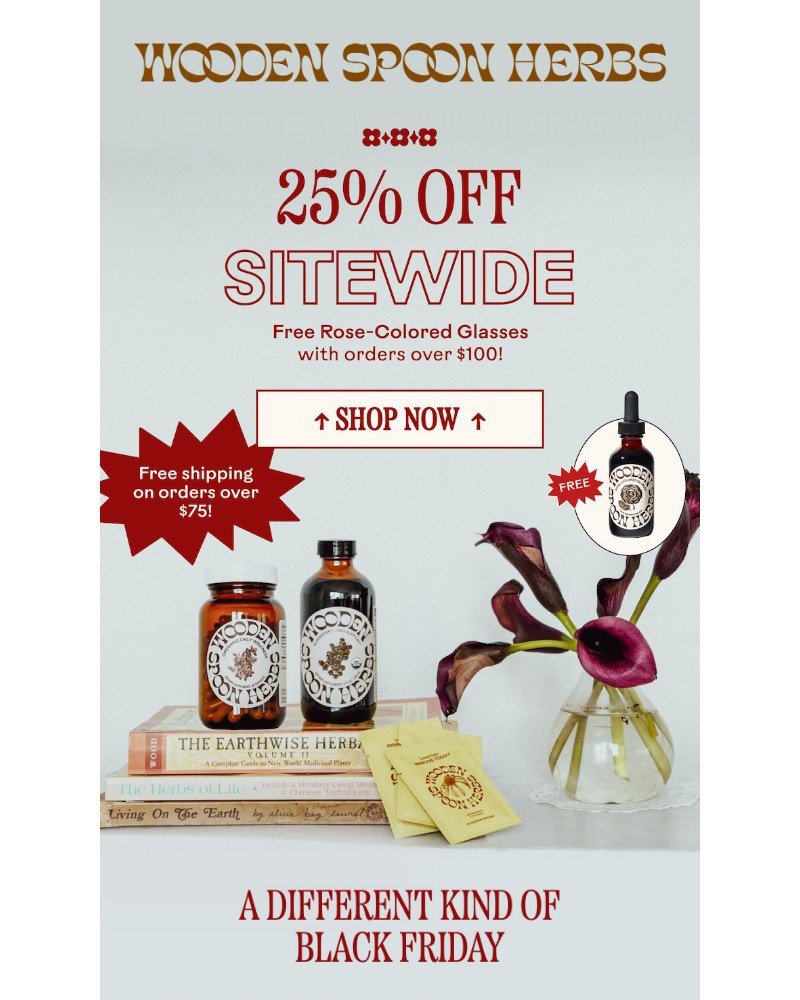 Screenshot of email sent to a Wooden Spoon Herbs Newsletter subscriber