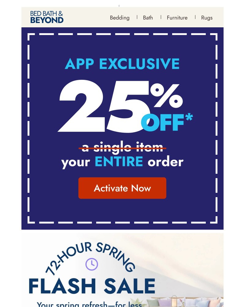 Screenshot of email sent to a Overstock Newsletter subscriber