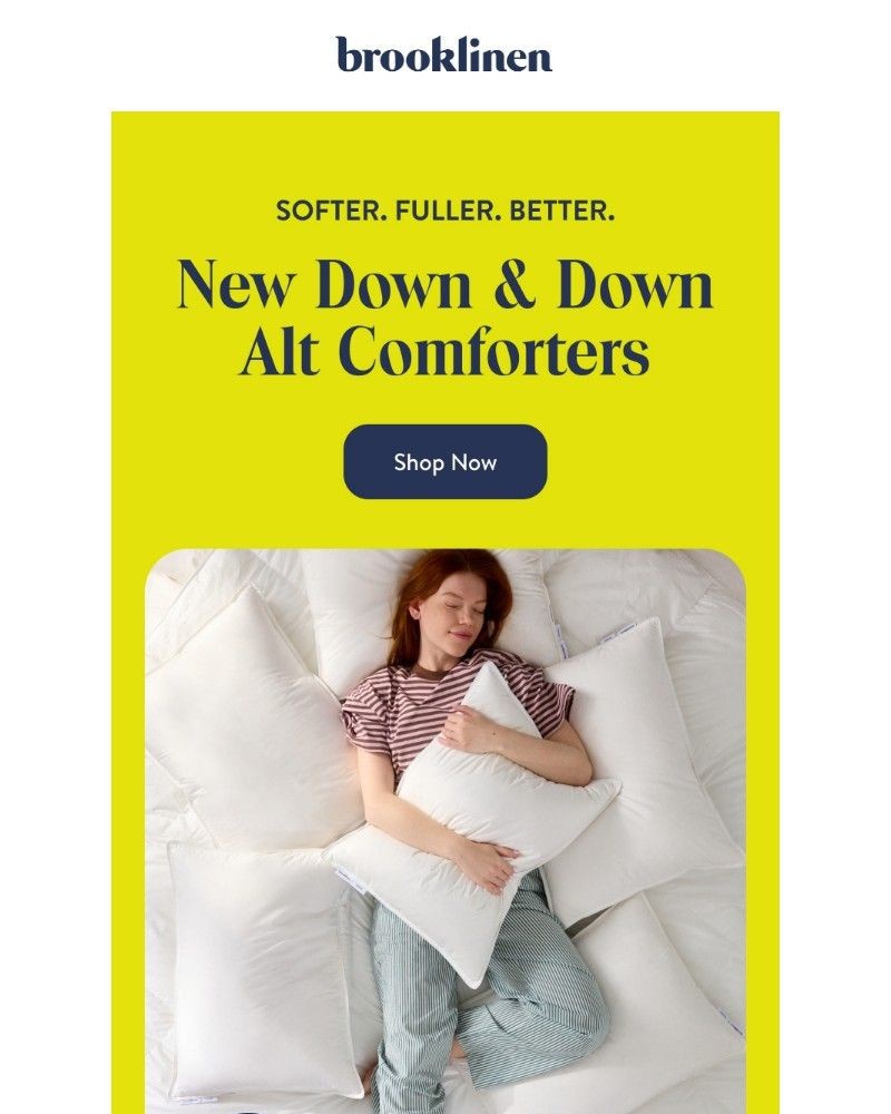 Screenshot of email with subject /media/emails/25-off-new-next-level-comforters-86b6d6-cropped-f77be90e.jpg