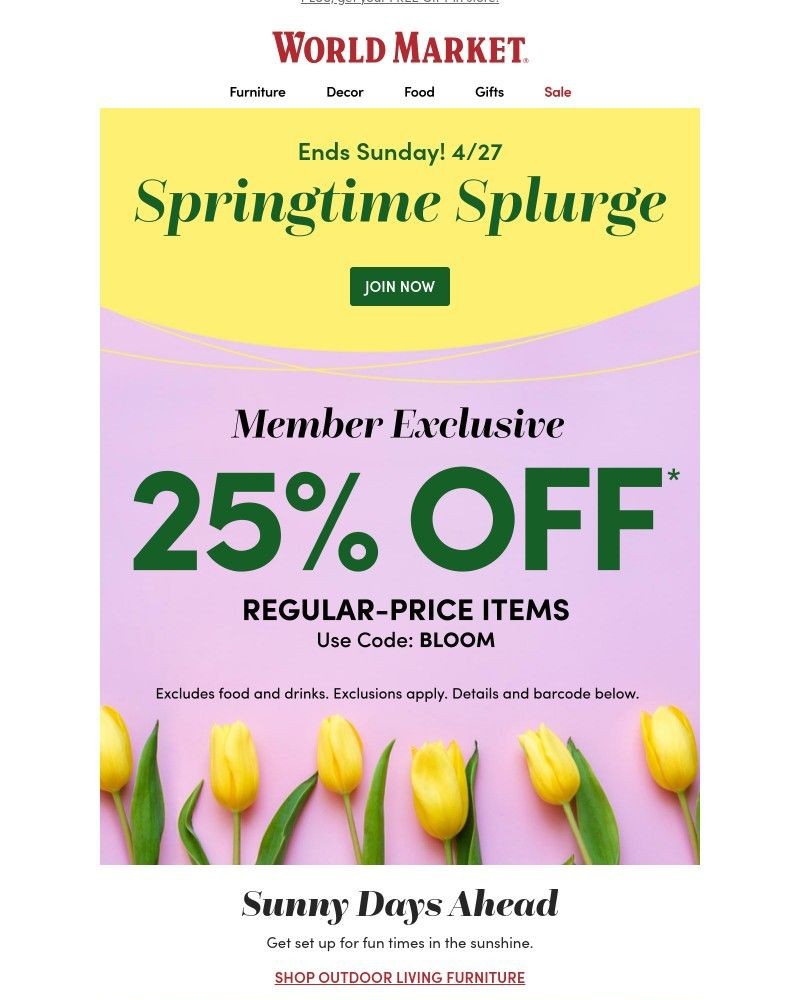 Screenshot of email with subject /media/emails/25-off-outdoor-furniture-more-c757d2-cropped-56f8c80a.jpg