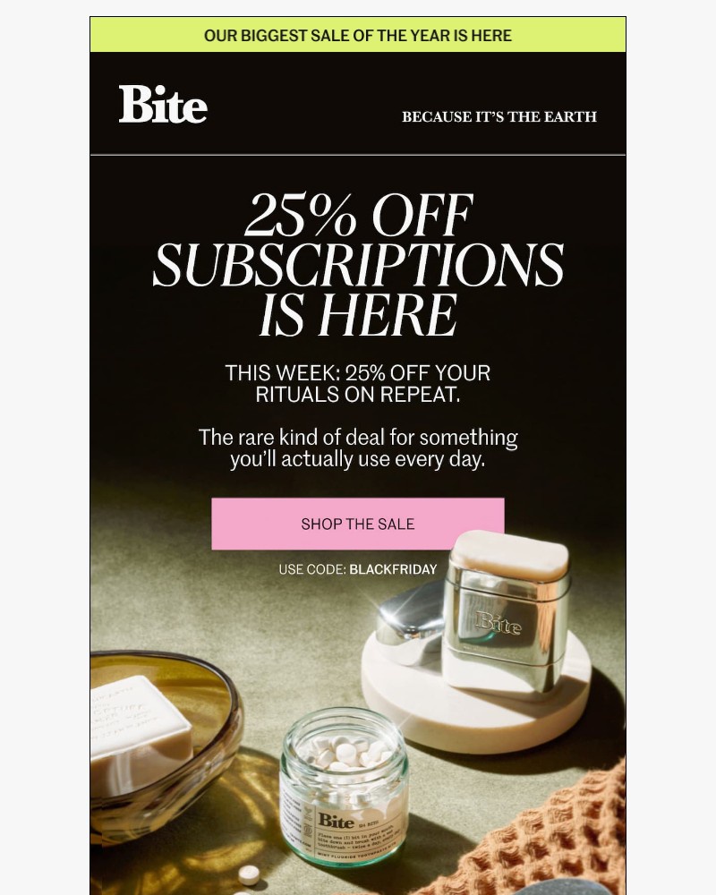 Screenshot of email sent to a Bite Course customer