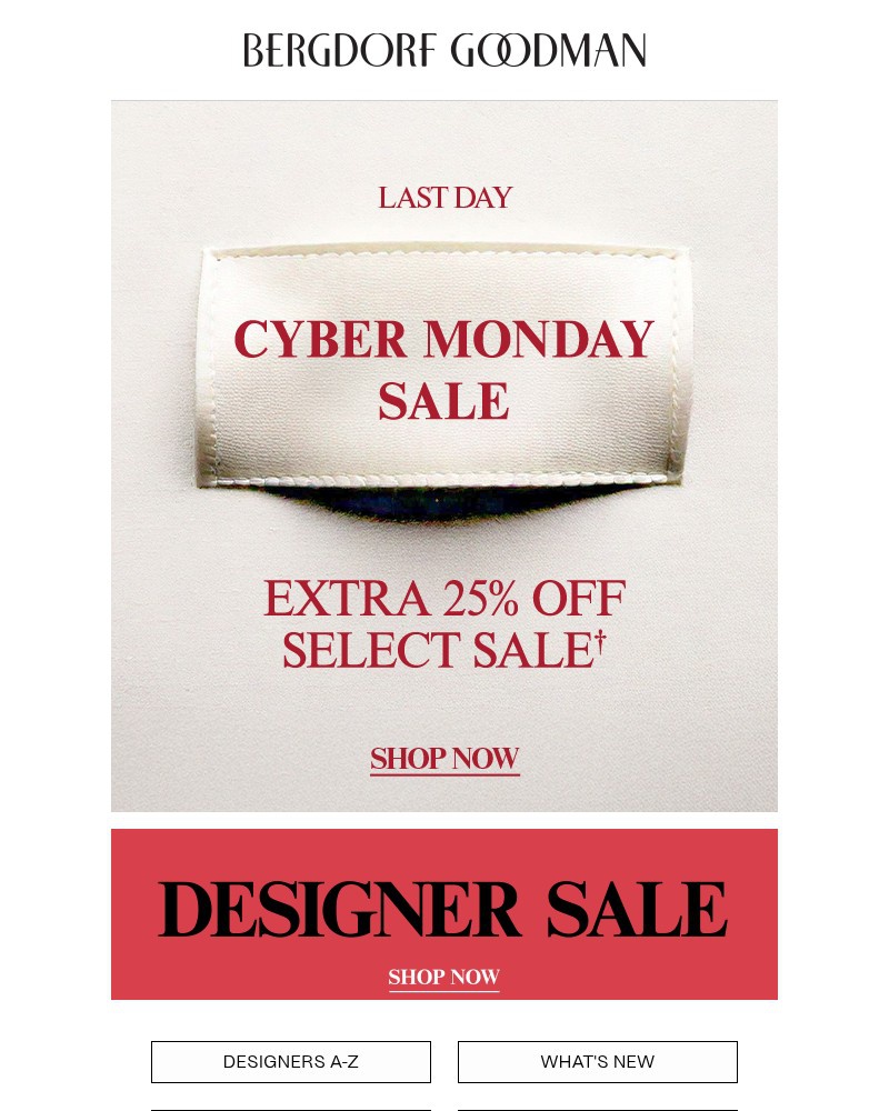 Screenshot of email with subject /media/emails/25-off-sale-more-cyber-deals-4a23a6-cropped-3bfcd35b.jpg