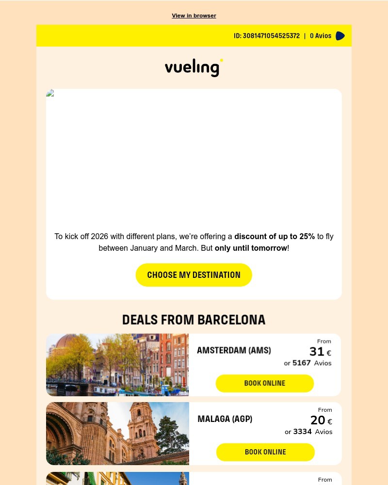 Screenshot of email sent to a Vueling Registered user