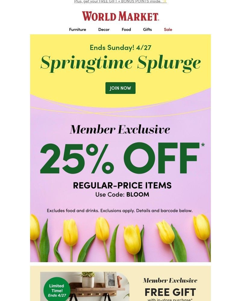 Screenshot of email with subject /media/emails/25-off-starts-now-a67ebe-cropped-0f576f0f.jpg