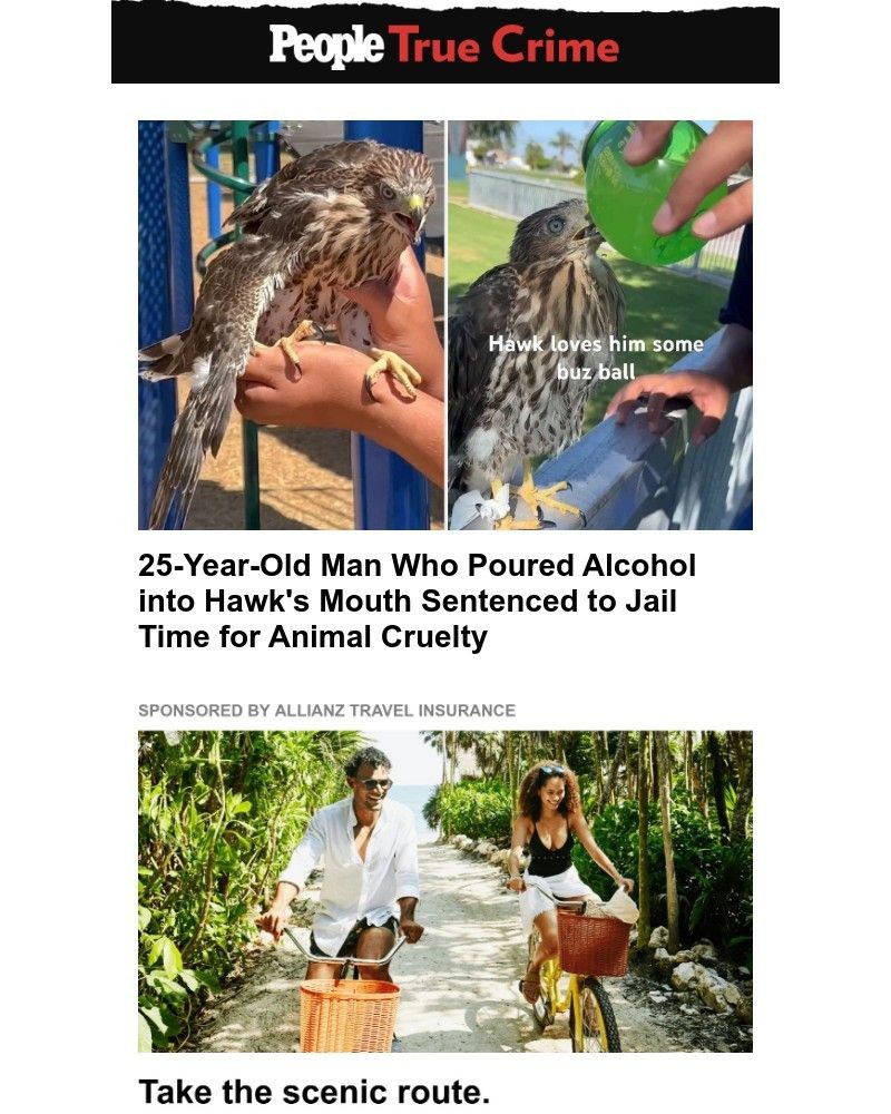 Screenshot of email with subject /media/emails/25-year-old-man-who-poured-alcohol-into-hawks-mouth-sentenced-to-jail-time-for-an_NFxPkPR.jpg