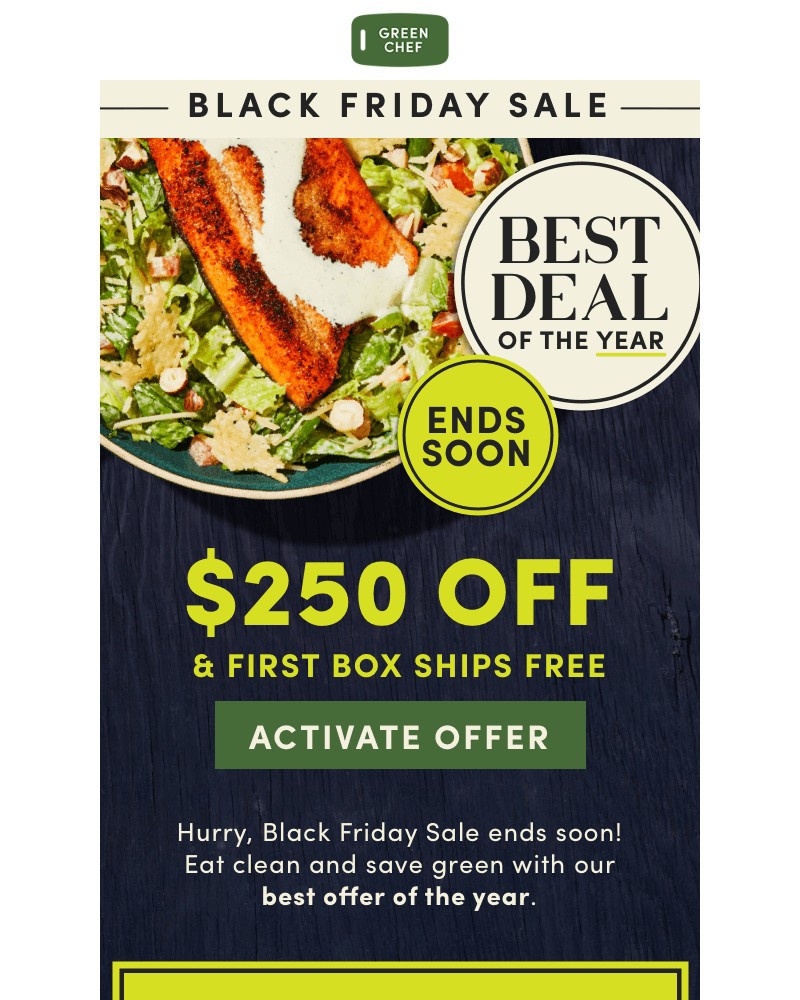 Screenshot of email with subject /media/emails/250-off-ac2721-cropped-611ba5f4.jpg