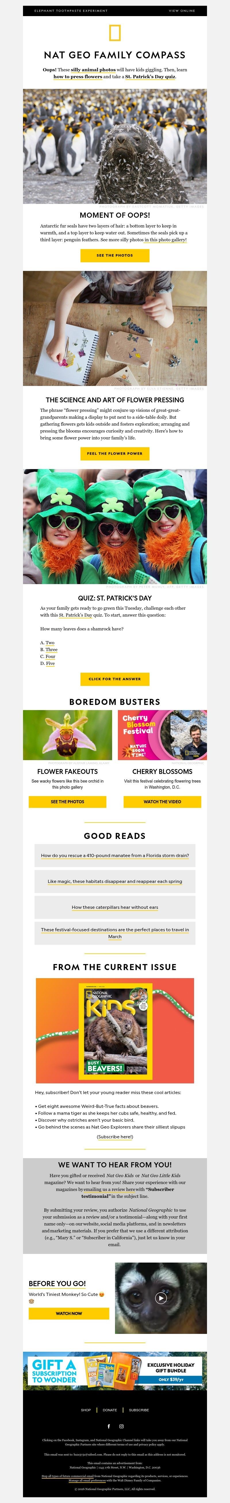 Screenshot of email with subject /media/emails/2547f15a-102e-4ffc-b2c3-8508c3c07b35.jpg