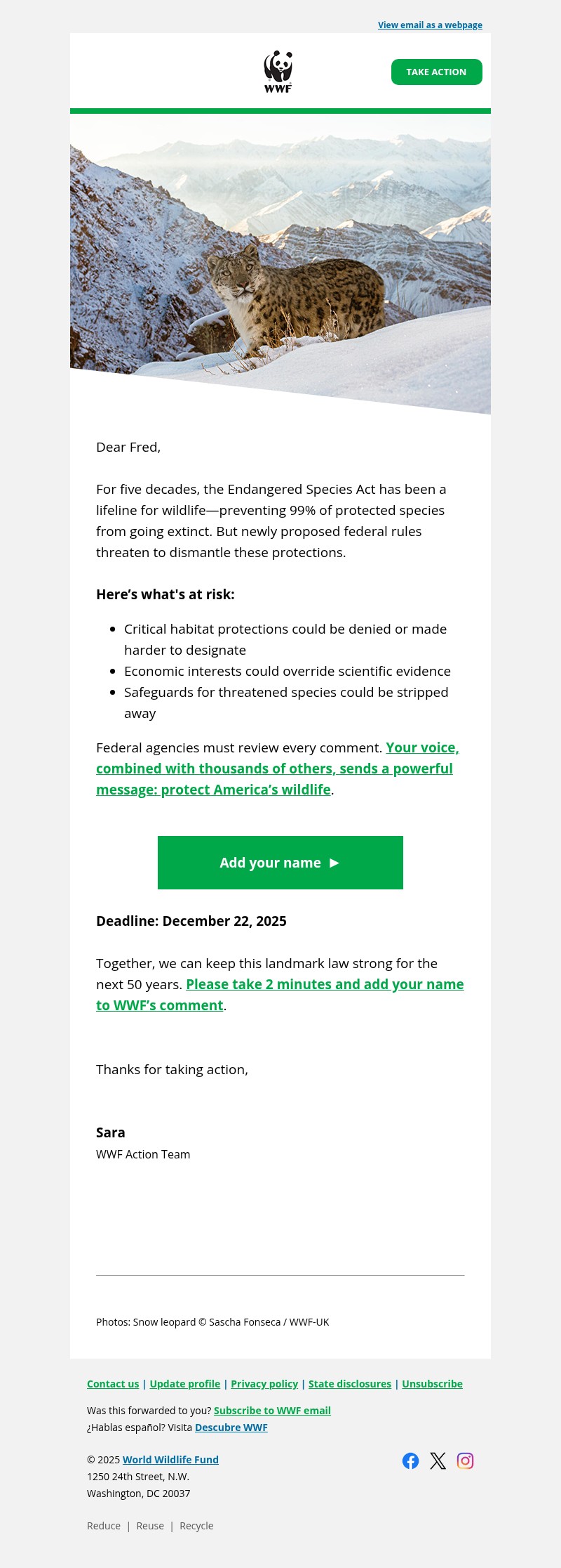 Screenshot of email with subject /media/emails/2612c338-a79b-4680-8e97-5715e5794dc2.jpg