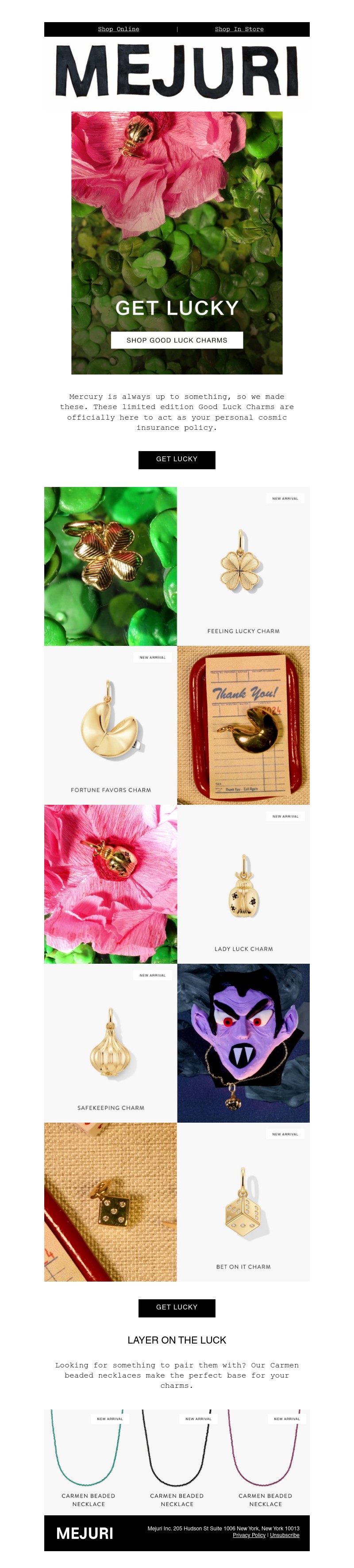 Screenshot of email with subject /media/emails/265463a8-ff56-4222-acf9-73422ef230d5.jpg