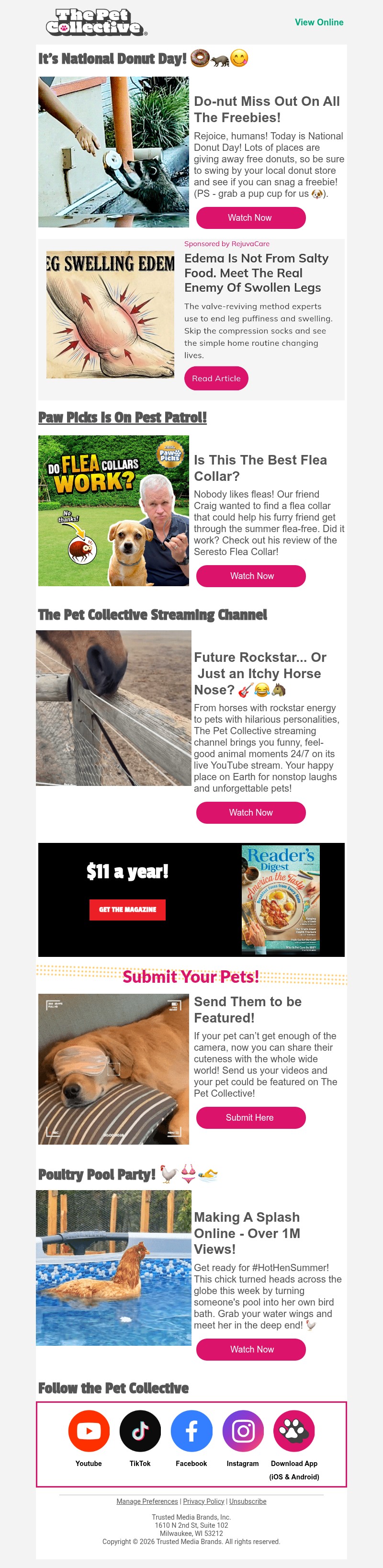 Screenshot of email with subject /media/emails/2677ea11-3999-462b-bcc2-d231e0dc66c7.jpg