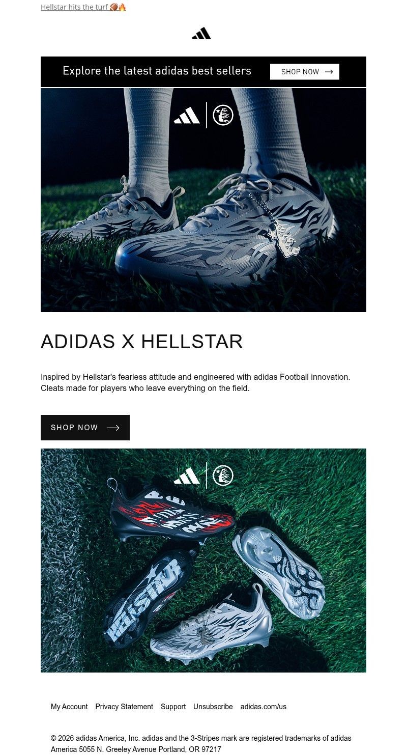 Screenshot of email with subject /media/emails/26bbe84e-9872-4119-9ae3-6c4b65ae4c67.jpg
