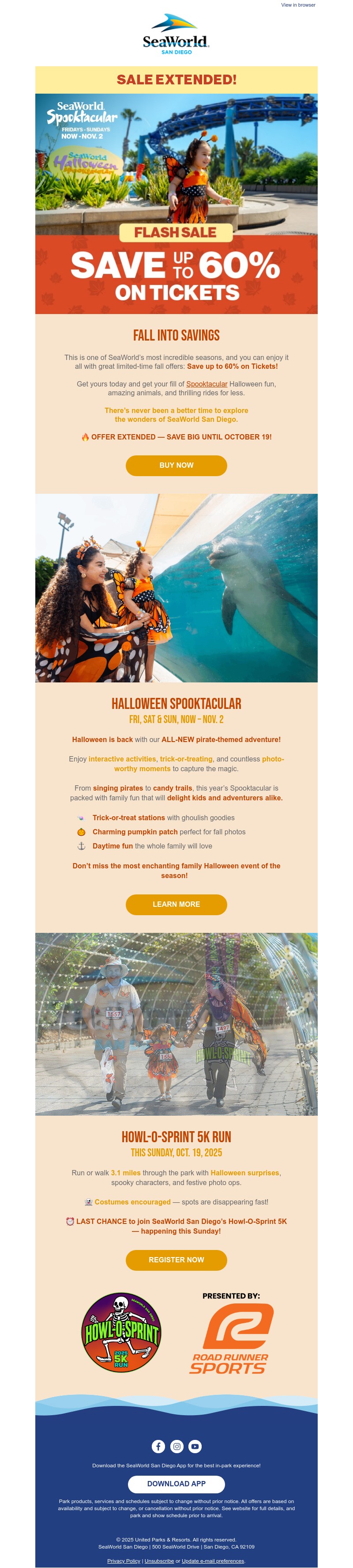 Screenshot of email with subject /media/emails/2769d70b-ee5f-4fa8-8316-d7622470de37.jpg