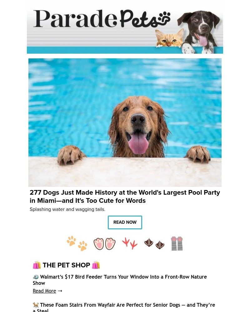 Screenshot of email with subject /media/emails/277-dogs-just-made-history-at-the-worlds-largest-pool-party-in-miamiand-its-too-c_VB8FyN5.jpg