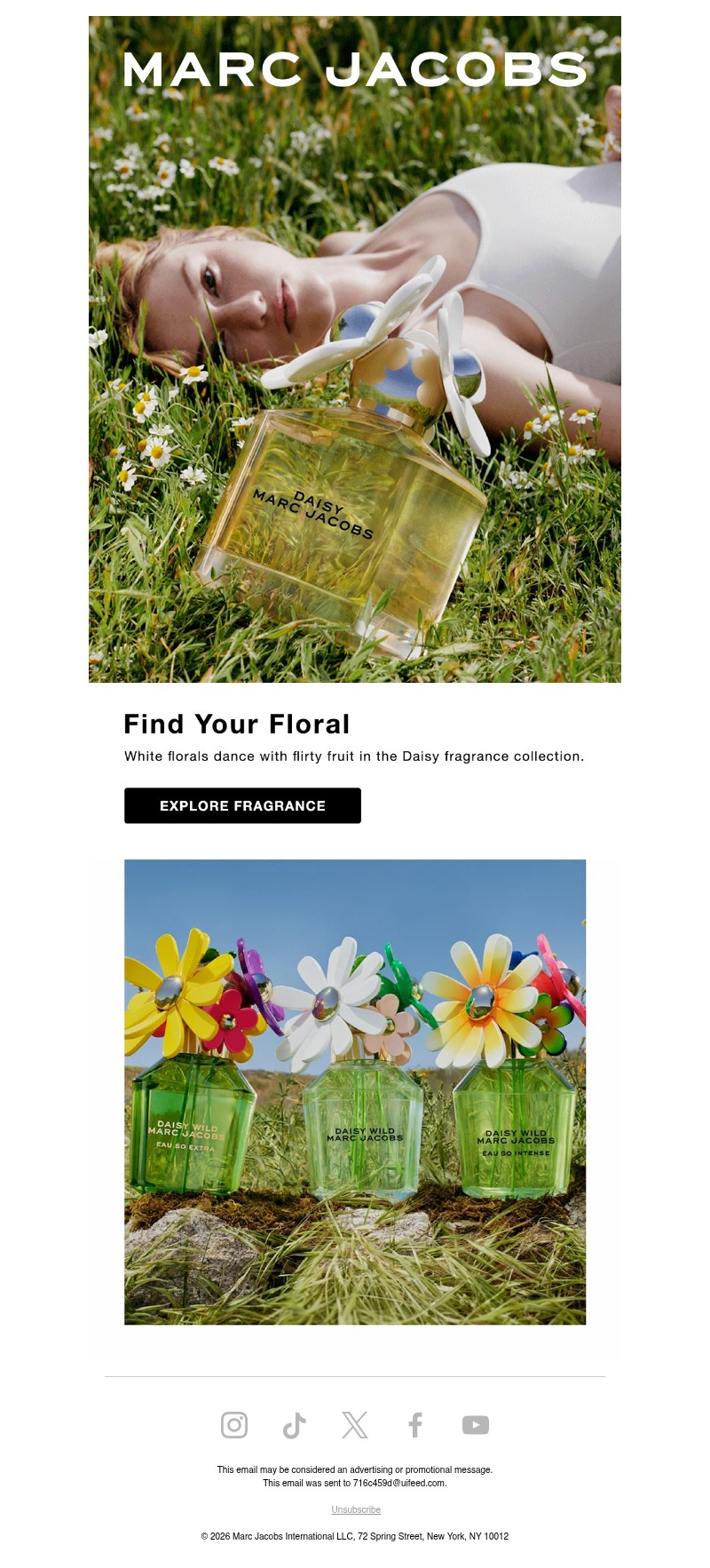Screenshot of email with subject /media/emails/27a21ffc-ba33-4646-bac9-5731ae2c038e.jpg