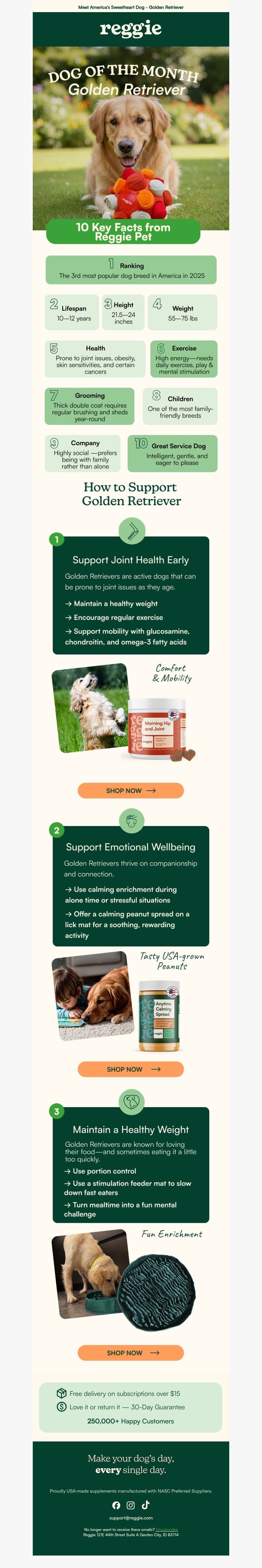 Screenshot of email with subject /media/emails/280a75e5-991a-496a-9074-6d5df8e944a8.jpg