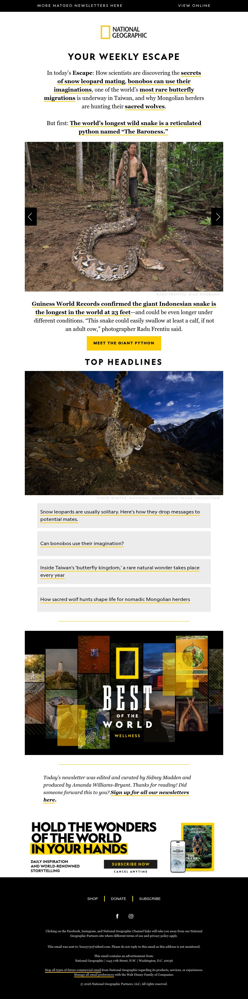 Screenshot of email with subject /media/emails/285a3e30-f226-4269-9115-2a65d3171aaa.jpg