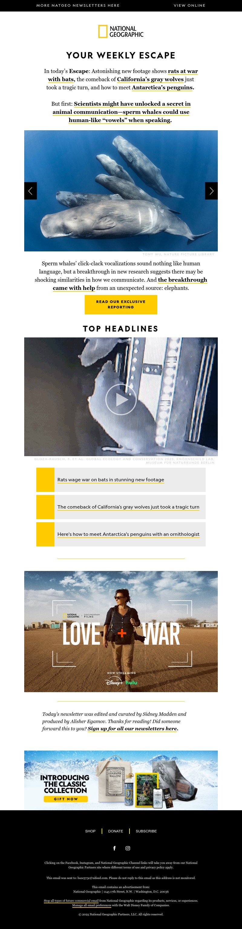 Screenshot of email with subject /media/emails/2a08bb4f-56bc-4cbe-a937-29eef1e0e5f5.jpg