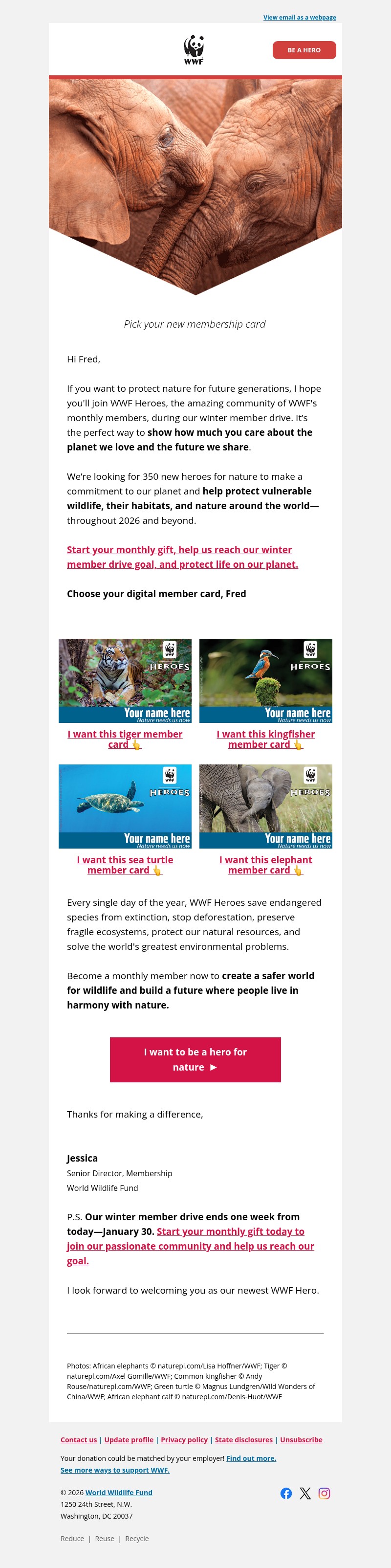 Screenshot of email with subject /media/emails/2a6ed108-185c-414c-a78a-7f20257599ed.jpg