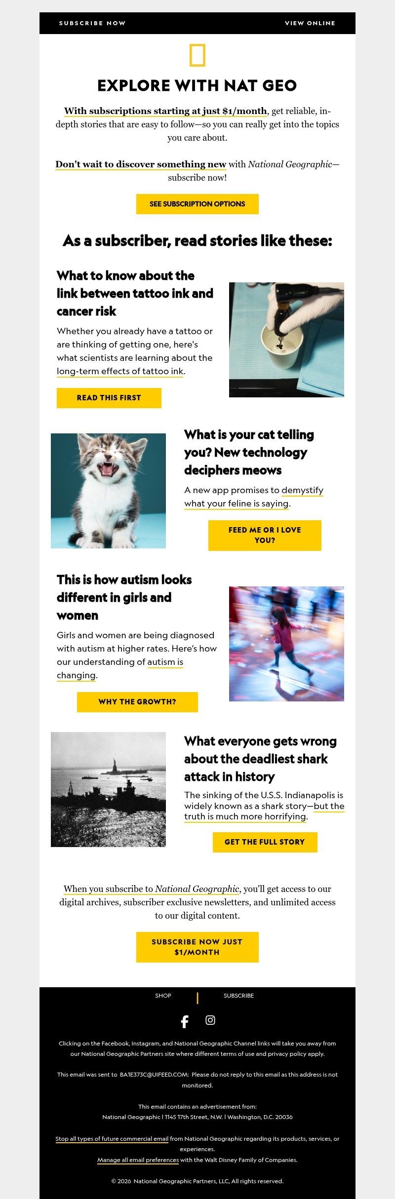 Screenshot of email with subject /media/emails/2a8a6abc-0ccb-49a2-9fc4-b989cf48e469.jpg