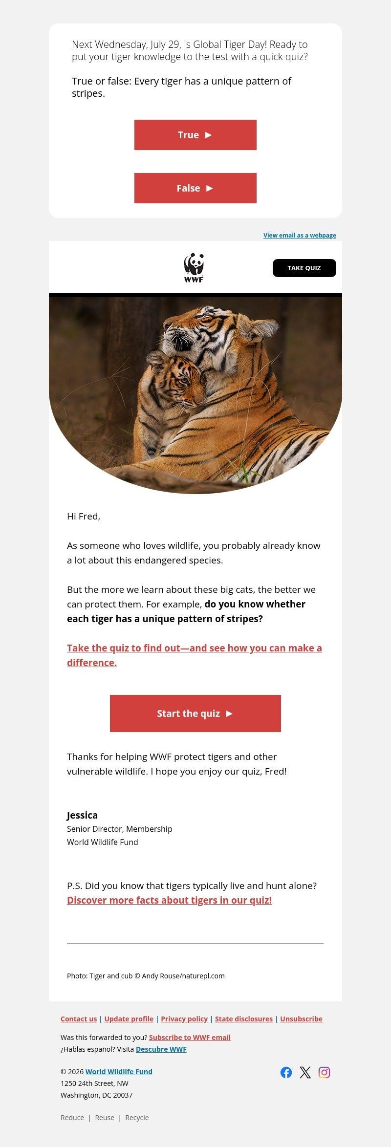 Screenshot of email with subject /media/emails/2b0508e0-c473-437a-8b42-47118853cae5.jpg