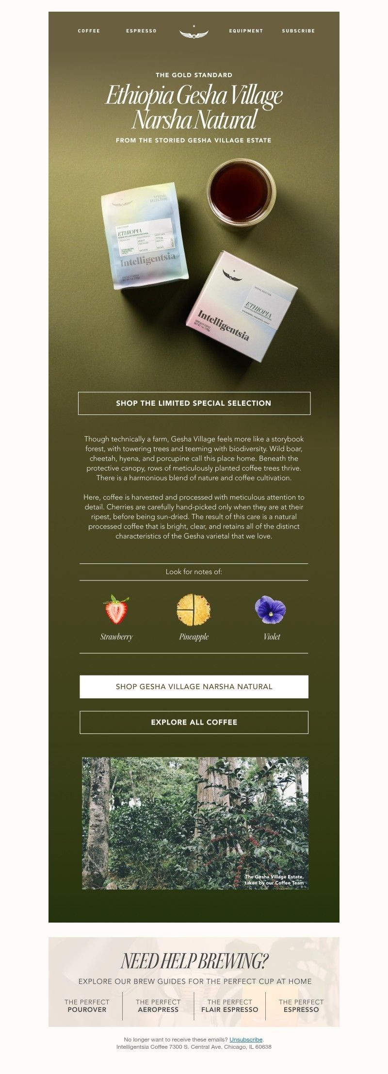 Screenshot of email with subject /media/emails/2b25d8ff-dd46-4e70-becb-5ee348ad1cd7.jpg