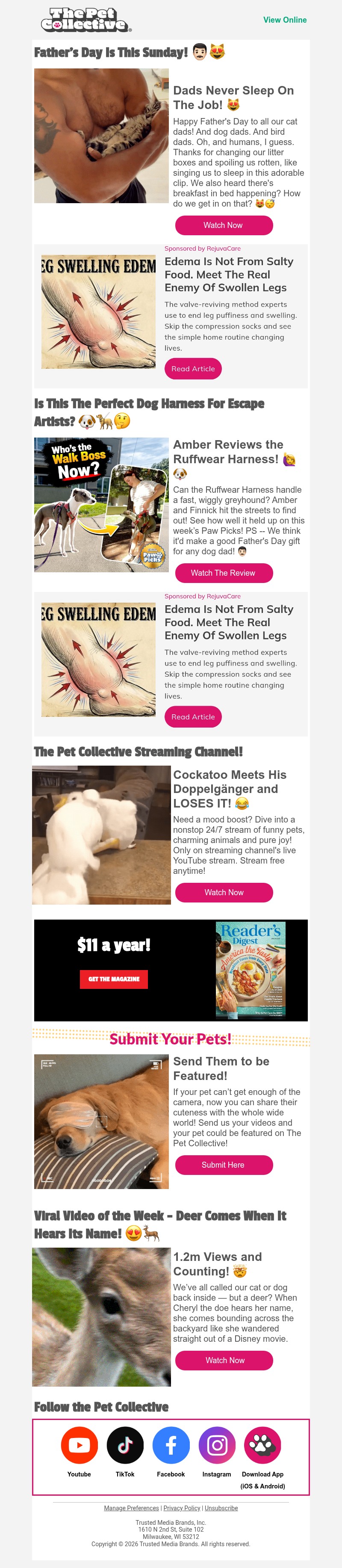 Screenshot of email with subject /media/emails/2b9c7ce1-b5a9-4629-8cab-f2493fa1e8ad.jpg