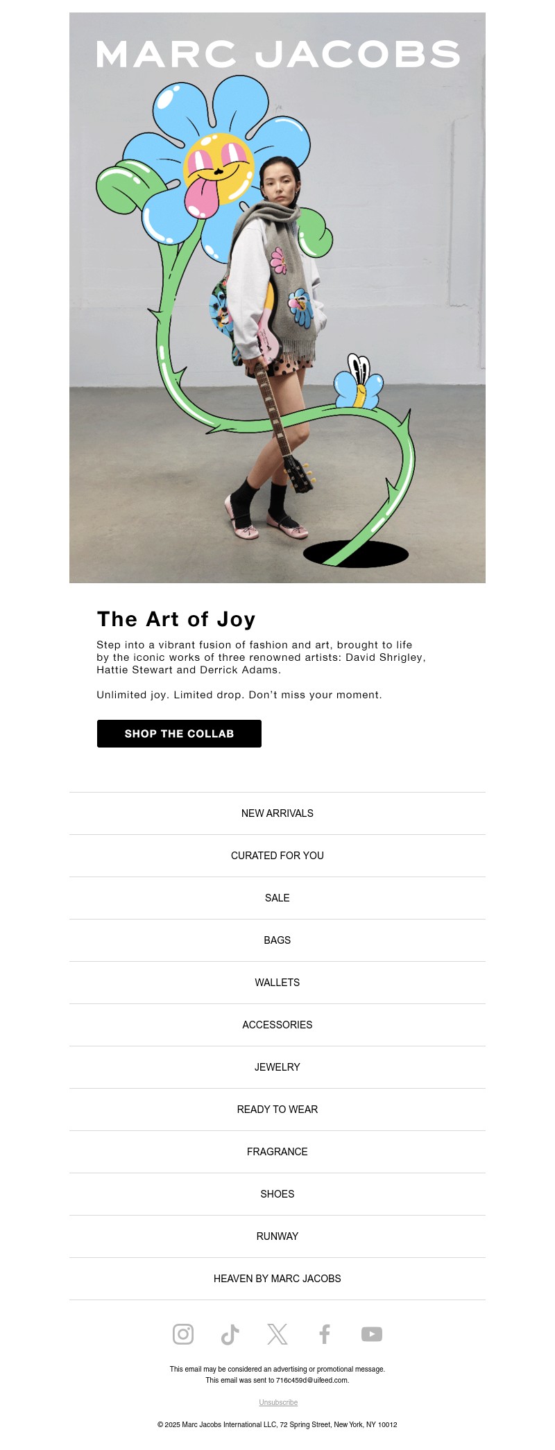Screenshot of email with subject /media/emails/2baaf107-9288-4cb1-a174-40fc6261f2a1.jpg