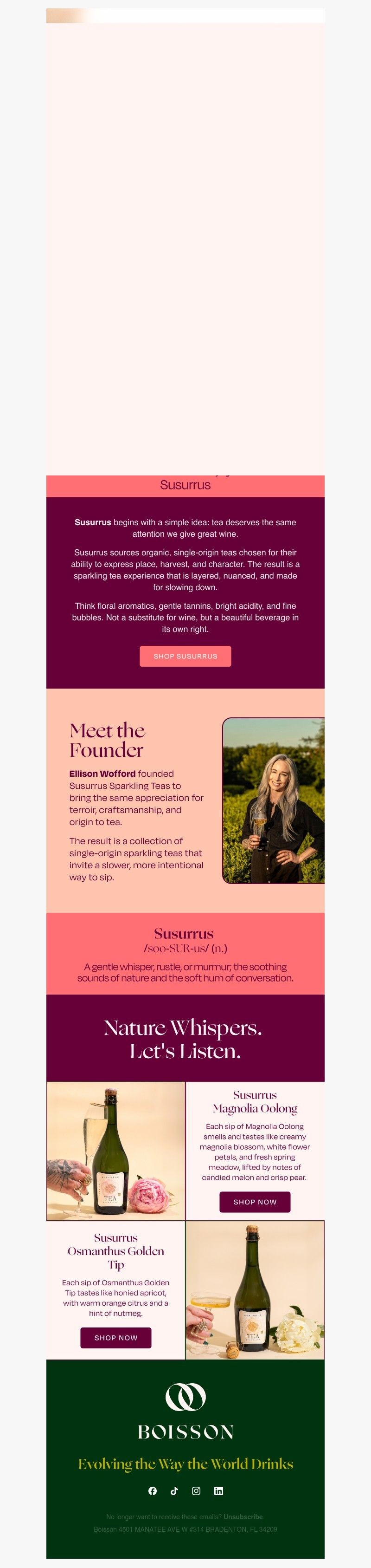 Screenshot of email with subject /media/emails/2be6e799-b913-4888-999c-722acc60a4b7.jpg