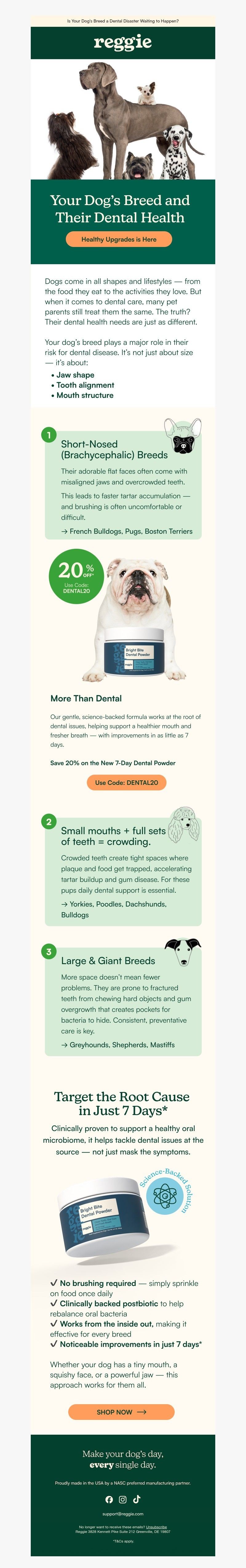 Screenshot of email with subject /media/emails/2bf2ed02-2486-4f30-b5c9-63da50bd1de2.jpg