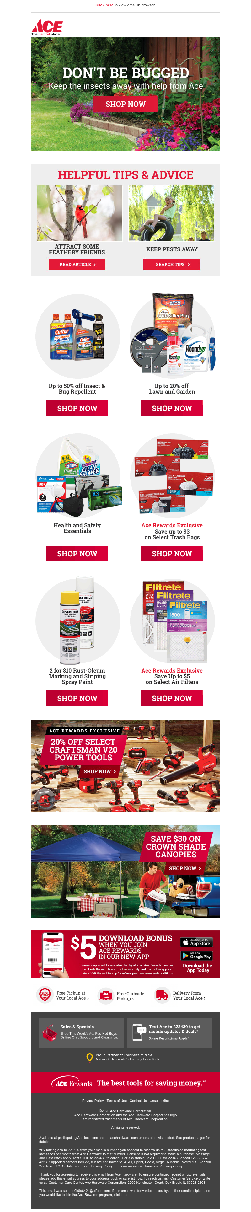 Screenshot of email with subject /media/emails/2c0cfdbe-40d2-4c0b-aa45-a5d8c4616dcd.png