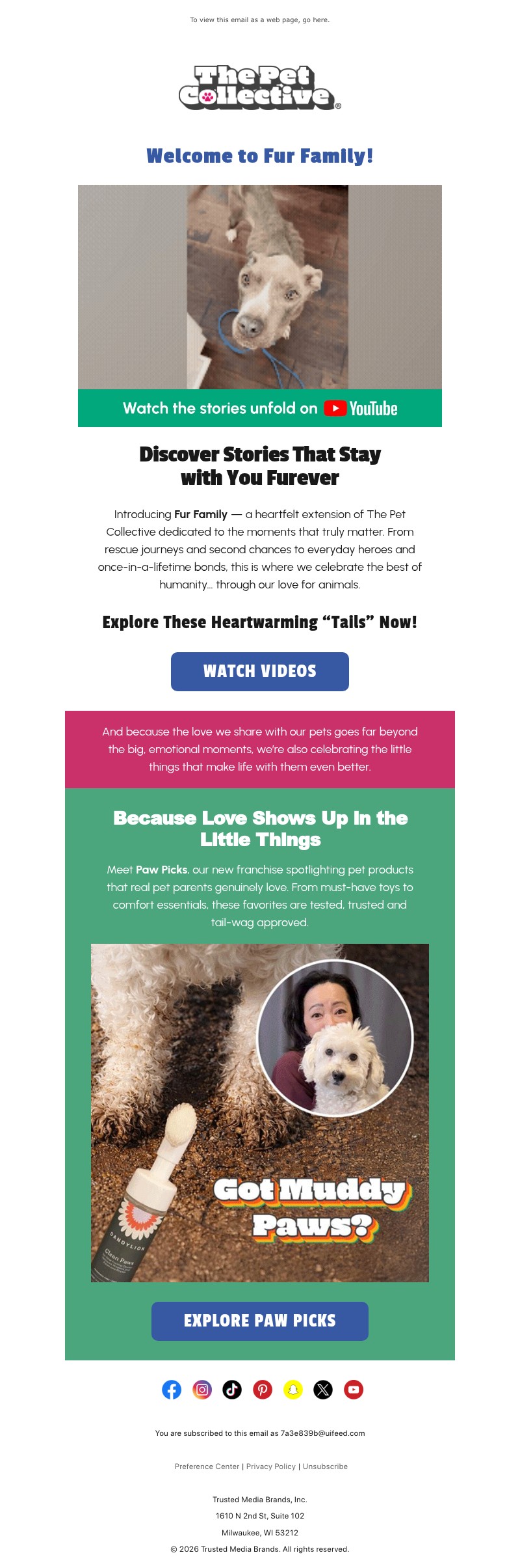 Screenshot of email with subject /media/emails/2d712d32-22a3-4fc5-985f-8d1477fa279c.jpg