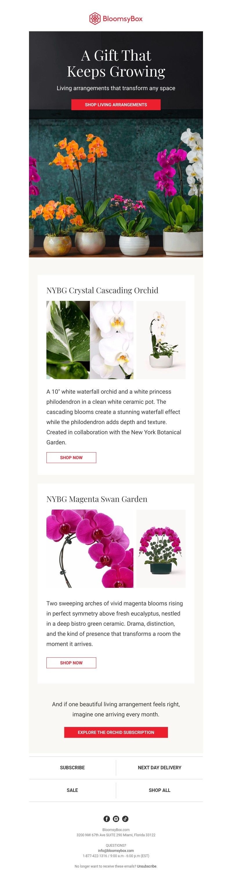 Screenshot of email with subject /media/emails/2ea5807d-2354-47e8-9977-af9116a4e2a6.jpg