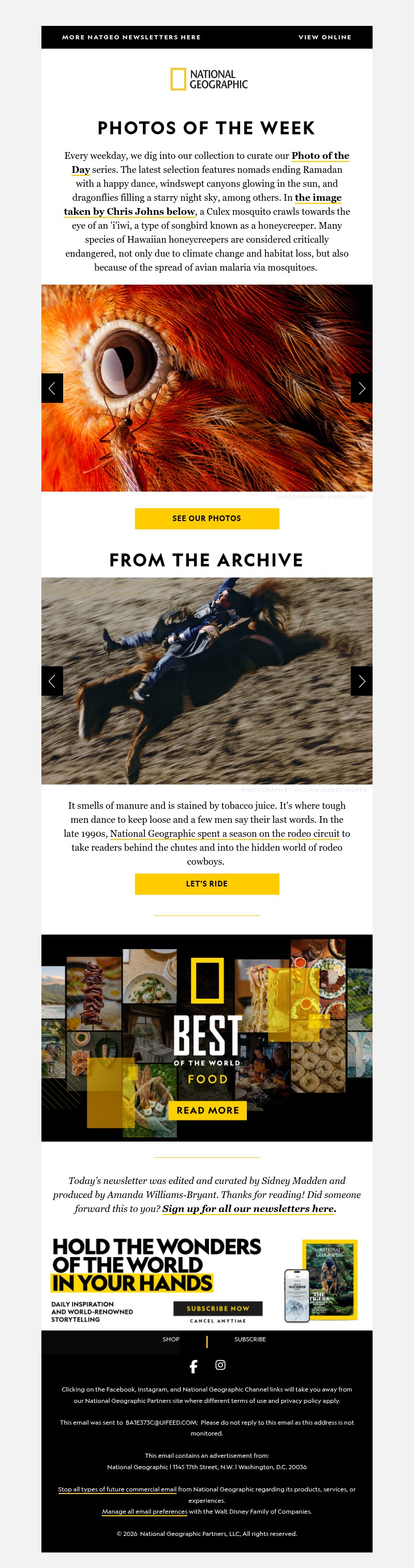 Screenshot of email with subject /media/emails/2ea811c5-b5fe-49d3-8202-e868f61026bf.jpg