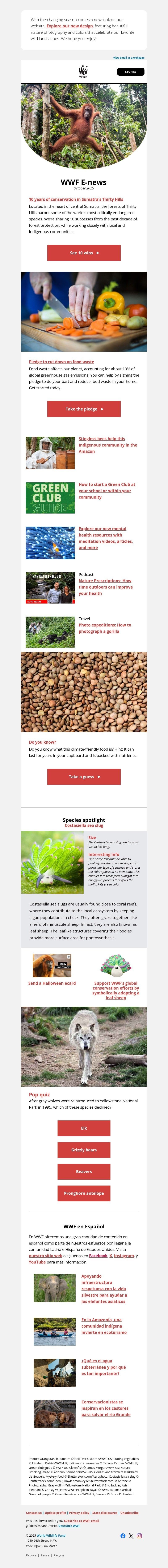 Screenshot of email with subject /media/emails/2fd037d5-5918-48cd-8b4d-788b941ad18d.jpg