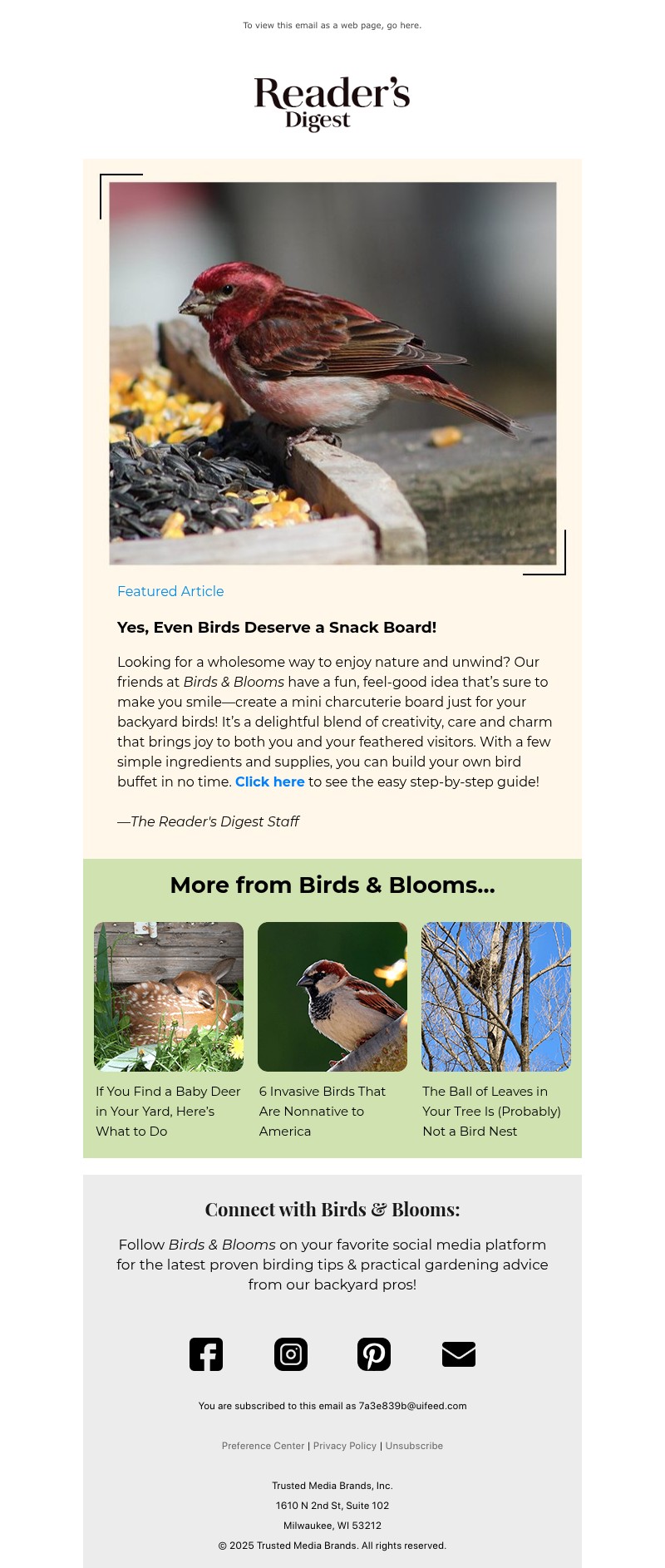 Screenshot of email with subject /media/emails/2fd1e8cc-8db6-4f58-a3c3-538f89e248ab.jpg