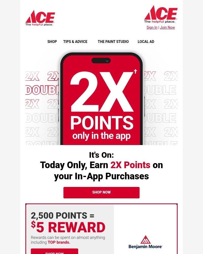 Screenshot of email sent to a Ace Hardware Newsletter subscriber
