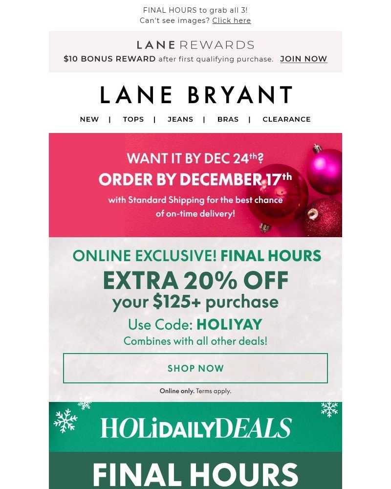Screenshot of email sent to a Lane Bryant Newsletter subscriber